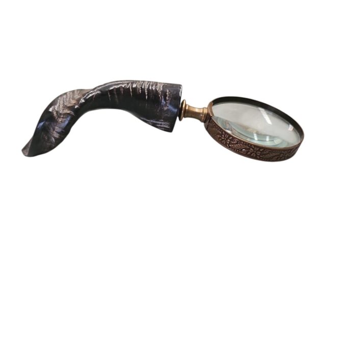 Horn Magnifyer
