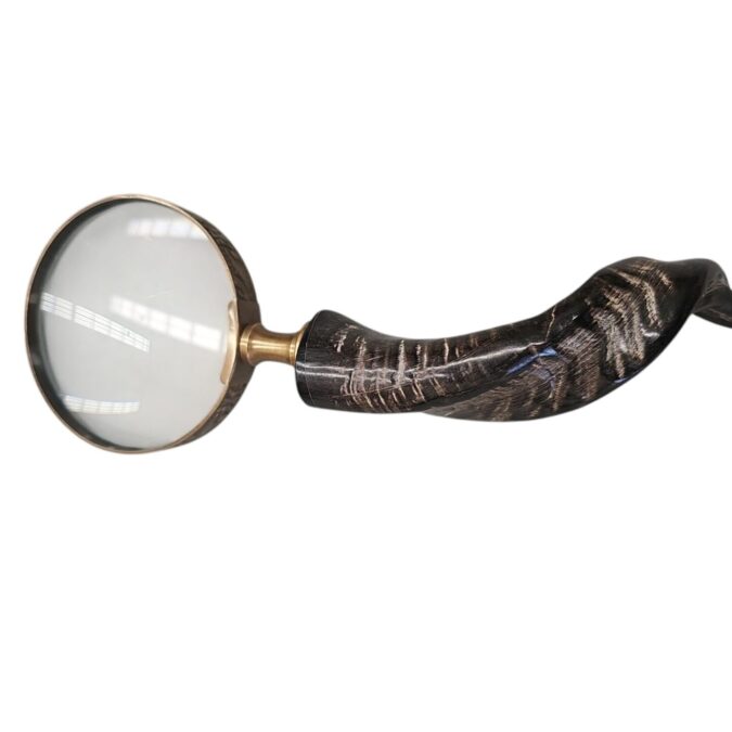 Horn Magnifyer - Image 2