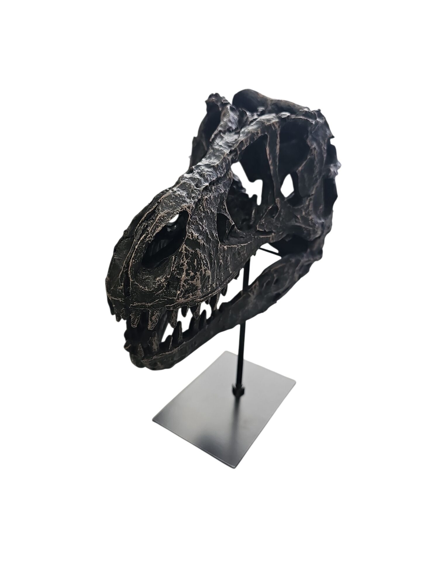 Dino Skull - Image 2