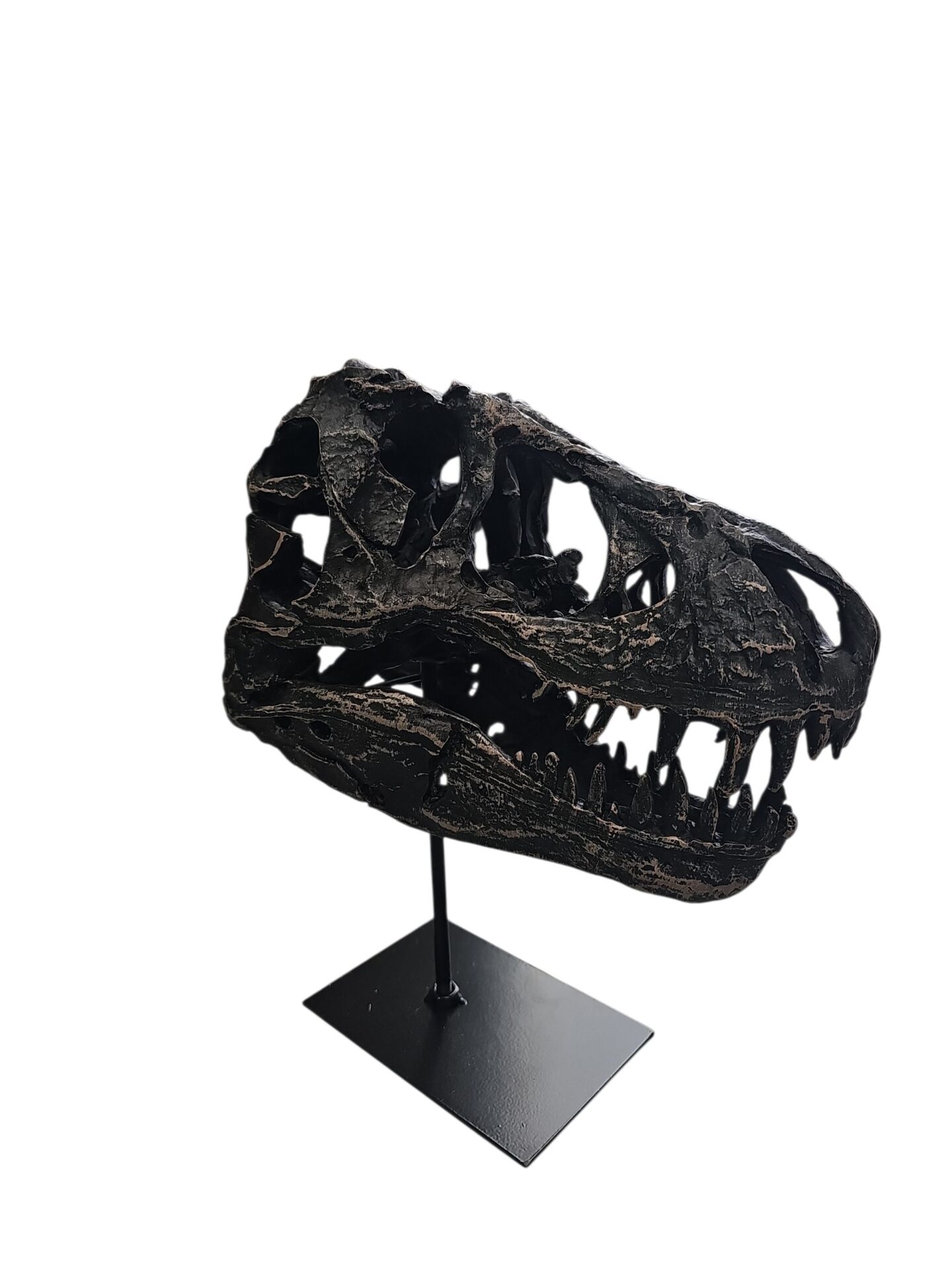 Dino Skull - Image 3