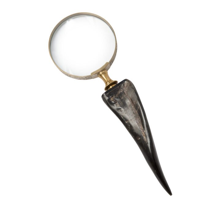 Horn Magnifier